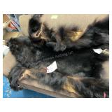 Black Bear Skin