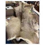 Mule Deer Hide