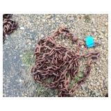 Chain