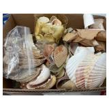 Box of Seashells