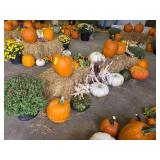 Fall Harvest Decoration.