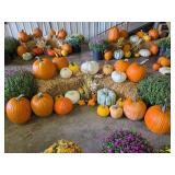 Fall Harvest Decoration.