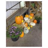 Medium size Fall Display