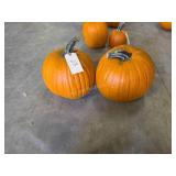 2 Pumpkins