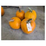 4 varying size Pumpkins
