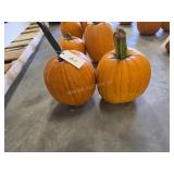 2 large Pumpkins