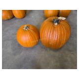 2 Pumpkins
