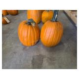 2 Pumpkins