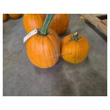 2 Pumpkins