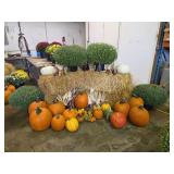 Fall Harvest Decoration.