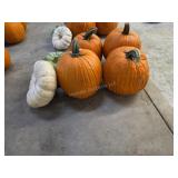 4 Large Pumpkins and assorted Gords