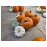 4 Large Pumpkins and assorted Gords