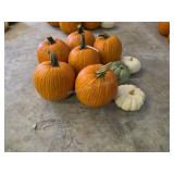 6 Large Pumpkins and assorted Gords