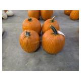 4 Large Pumpkins