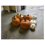 6 Large Pumpkins and assorted Gords