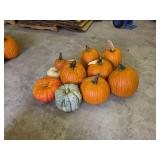 6 Large Pumpkins and assorted Gords