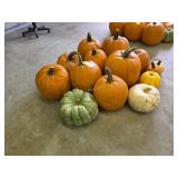 8 Large Pumpkins and assorted Gords