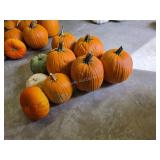 6 Pumpkins and assorted Gords