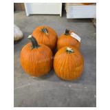 4 Large Pumpkins