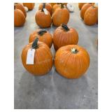 4 Large Pumpkins