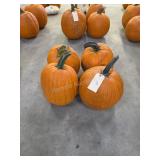 4 Large Pumpkins