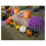 Fall Harvest Decoration.