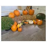 Fall Harvest Decoration.