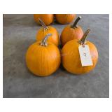 4 small Pumpkins