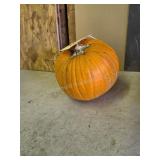 1 pumpkin