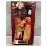 Hidden majesty queen Amidala