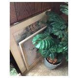 2 Pictures and Artificial fern in basket