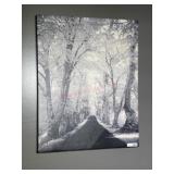 16x20 canvas print