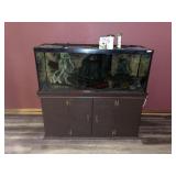 48x45x20 Aquarium with fish (South American