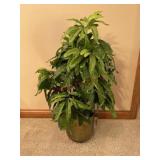40" tall 8" diameter base faux plant