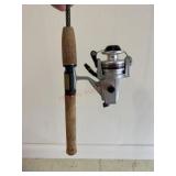 Daiwa fishing pole with reel