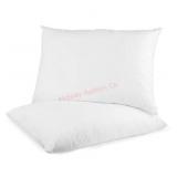 Digital Decor Set of 2 Premium Gold Hotel Pillows