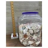 Tub of miscellaneous sea shells