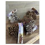Box of scented pine cones