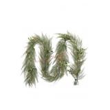 9ï¿½ Gold Cypress Garland w Mistletoe
