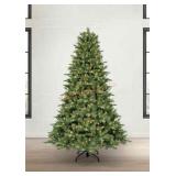 7.5ï¿½ bristle fir tree