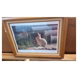 16x20 Framed Rabbit picture