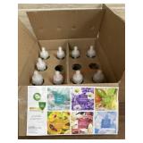 Box of Air Wick essential oil air fresheners