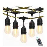 Westinghouse 48FT Outdoor String Lights