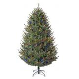 7.5ft Duchess Fir Tree