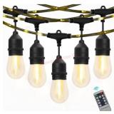 Westinghouse 48ï¿½ LED String Light Set