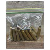 Bag of 300 win mag cases
