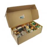 Holiday Ornament Set, 76 Pcs