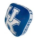 Logo Brands Kentucky Wildcats XL Puff Pillow
