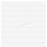 10 pieces Satori Bianco Dolomite 12-in x 12-in