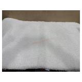 White 24 x40 bath mat